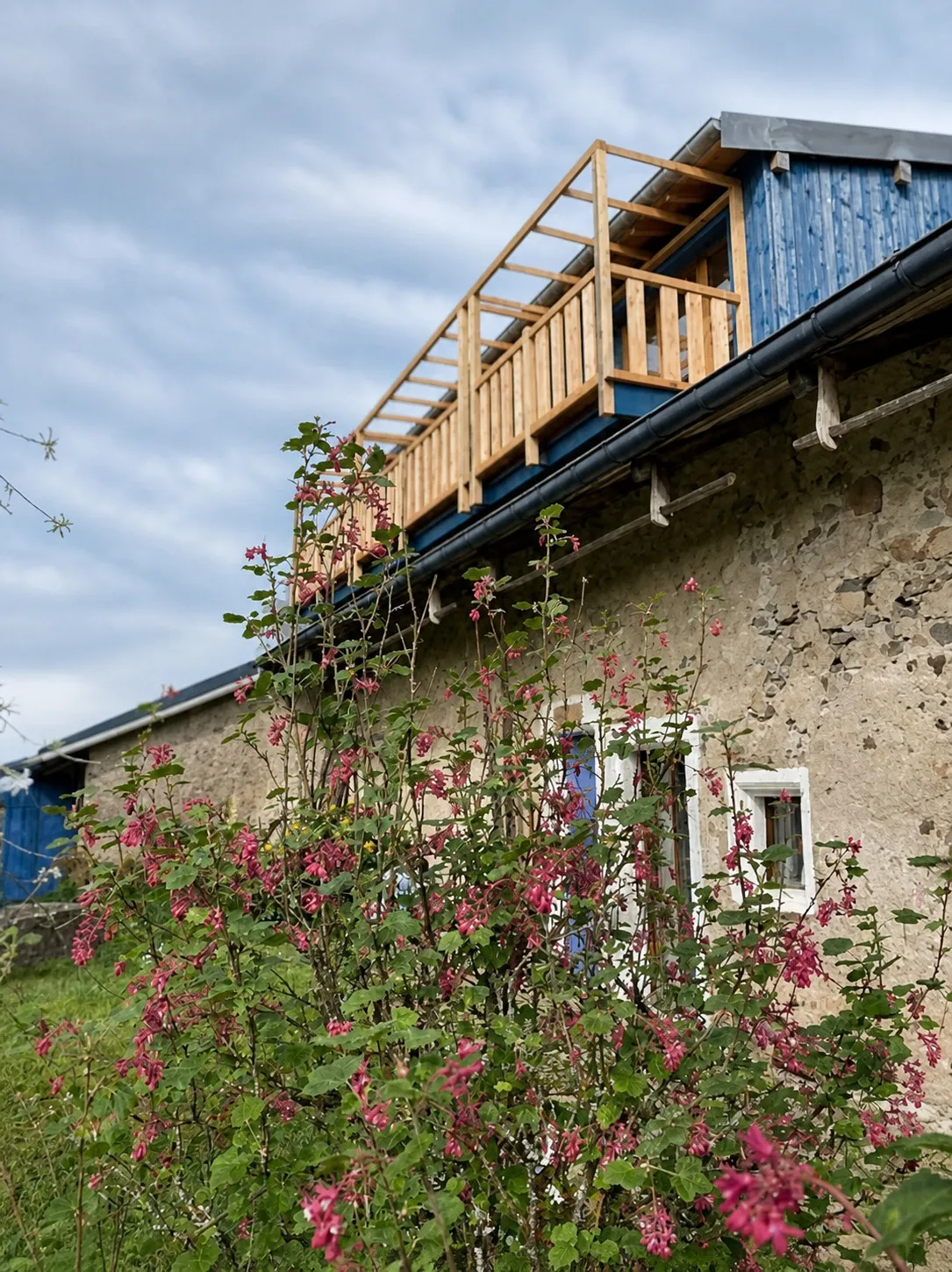 La Mésange, façade et jardin fleuri