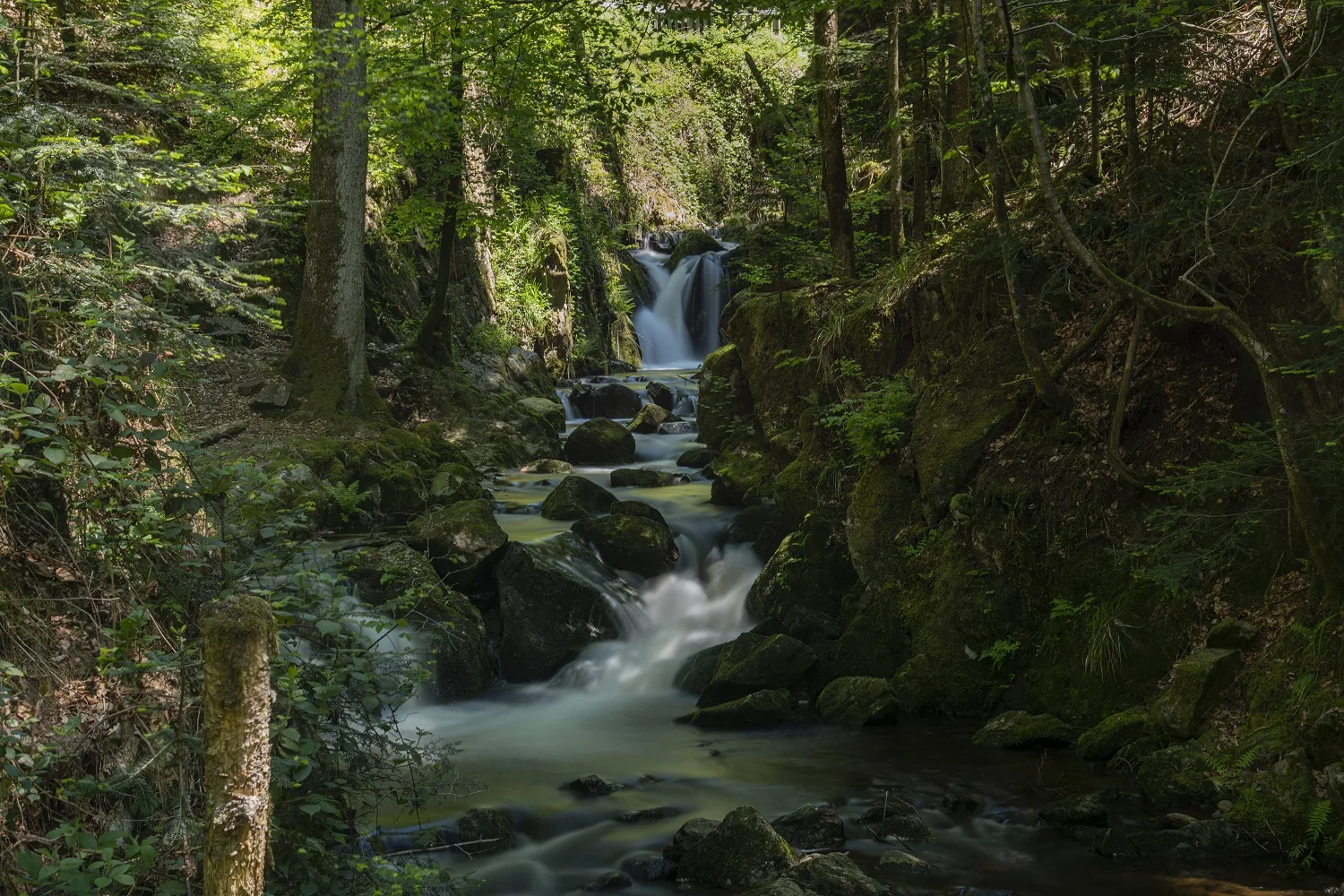 Cascade de Géhard au milieu de la forêt