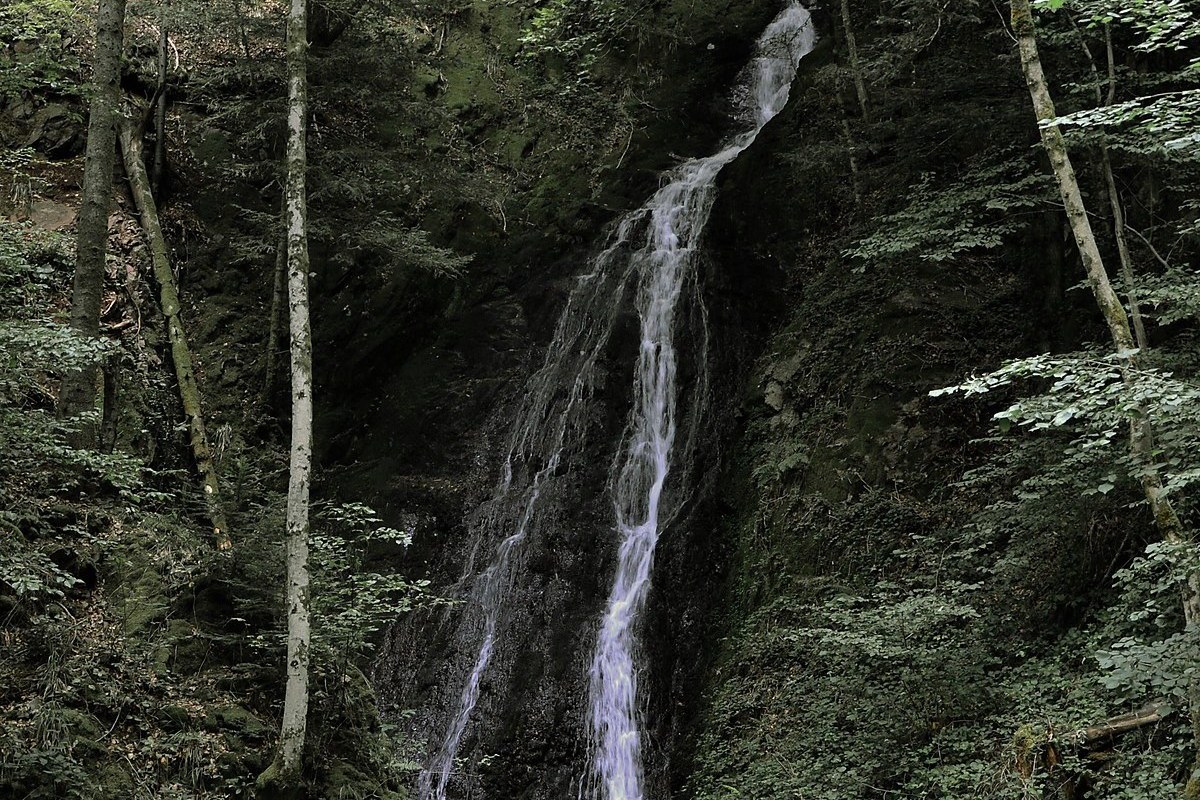Cascade de Miraumont au milieu des rochers et de la forêt